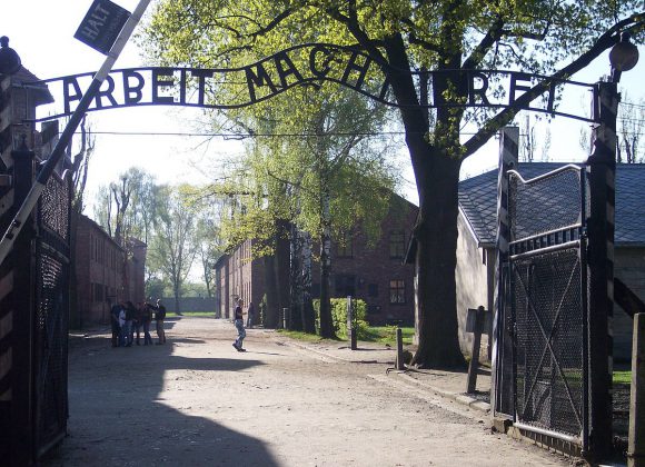 Quel rettangolo verde chiamato Auschwitz